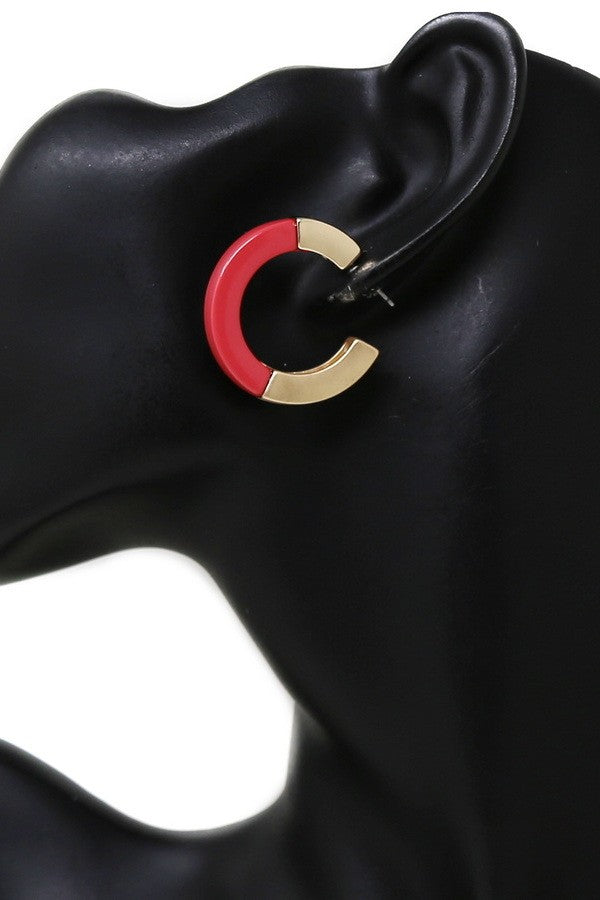Resin & Metal Hoop Earrings