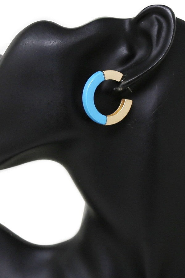Resin & Metal Hoop Earrings