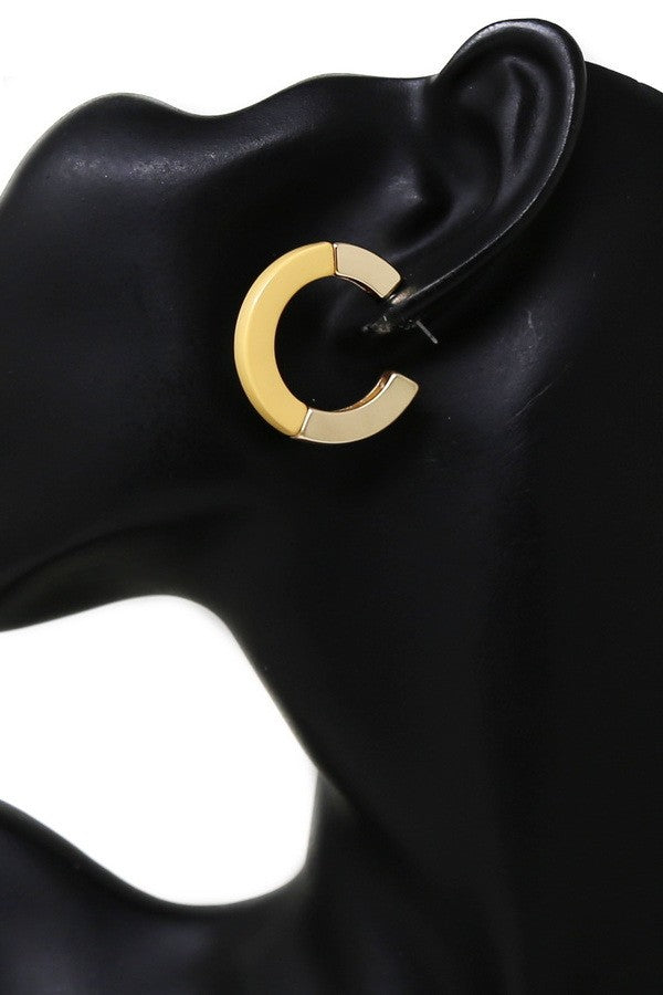 Resin & Metal Hoop Earrings