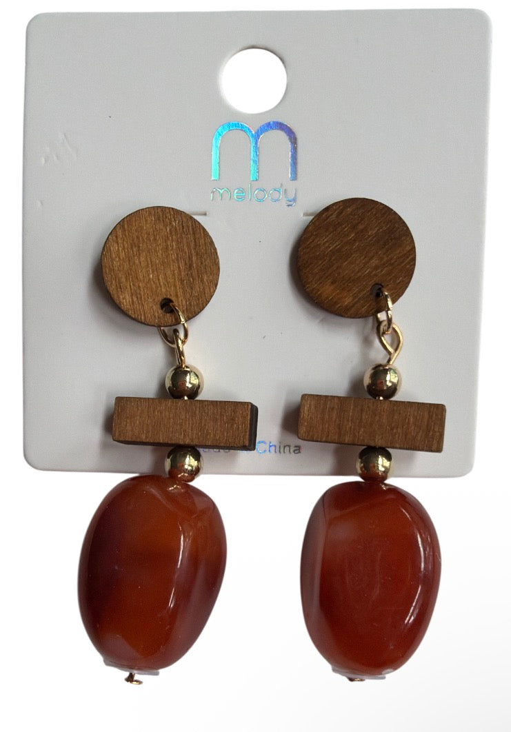 Wood Drop Color Earrings