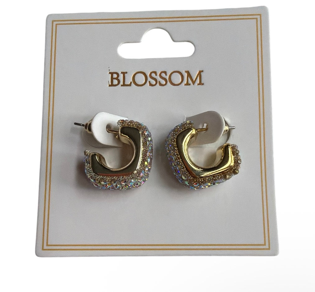 Rhinestone Hoop Earrings