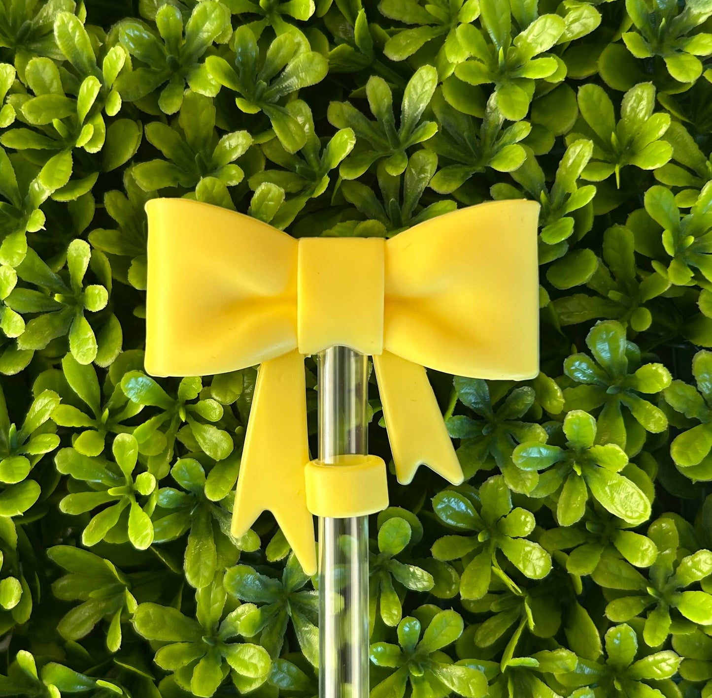 Bow Straw Topper