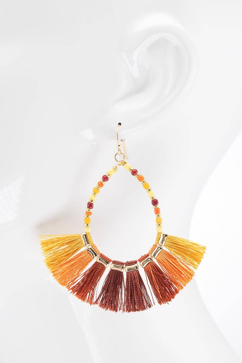 Monochromatic Wood and Tassel Earrings