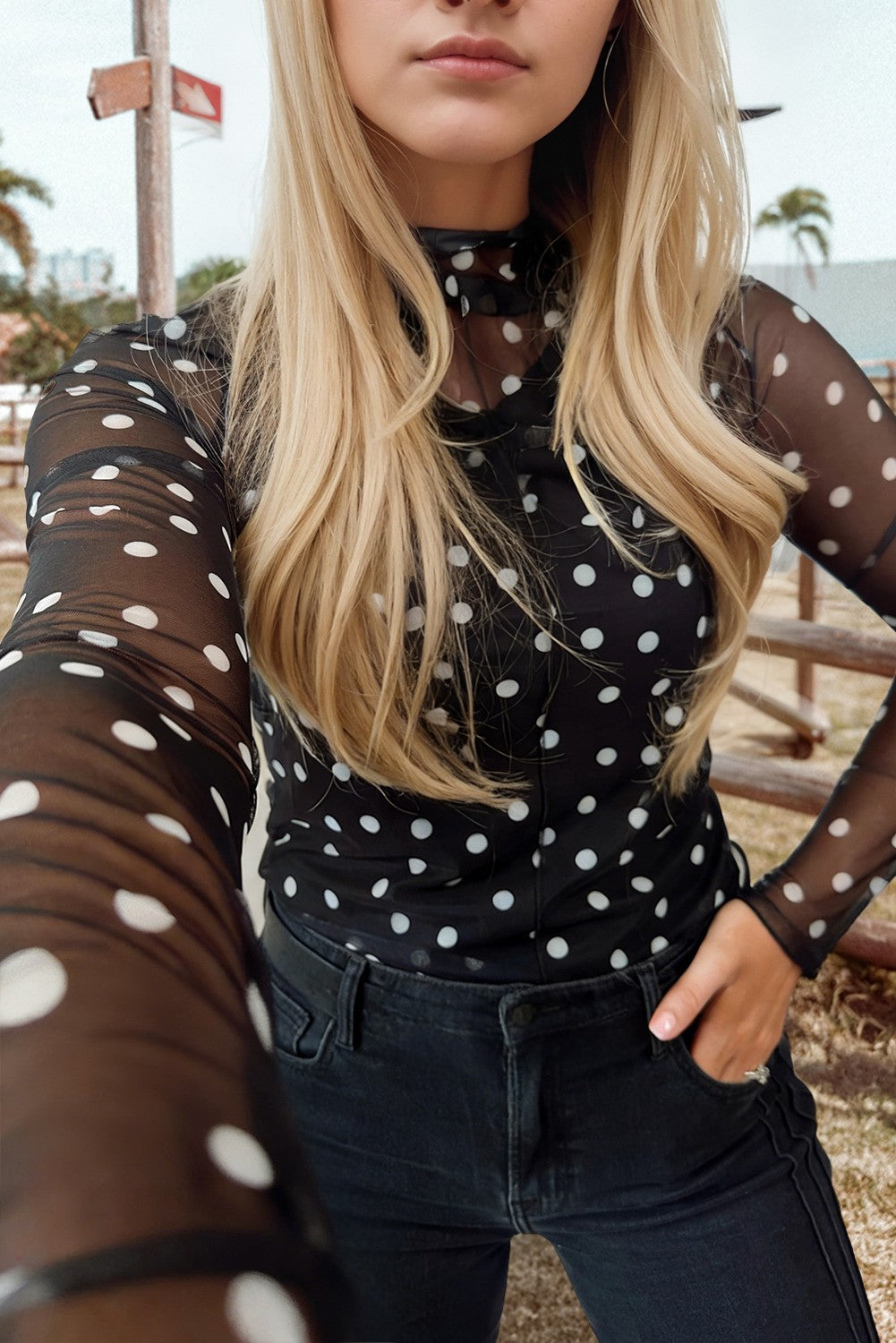 Polka Dot Mock Neck Mesh Long Sleeve Top