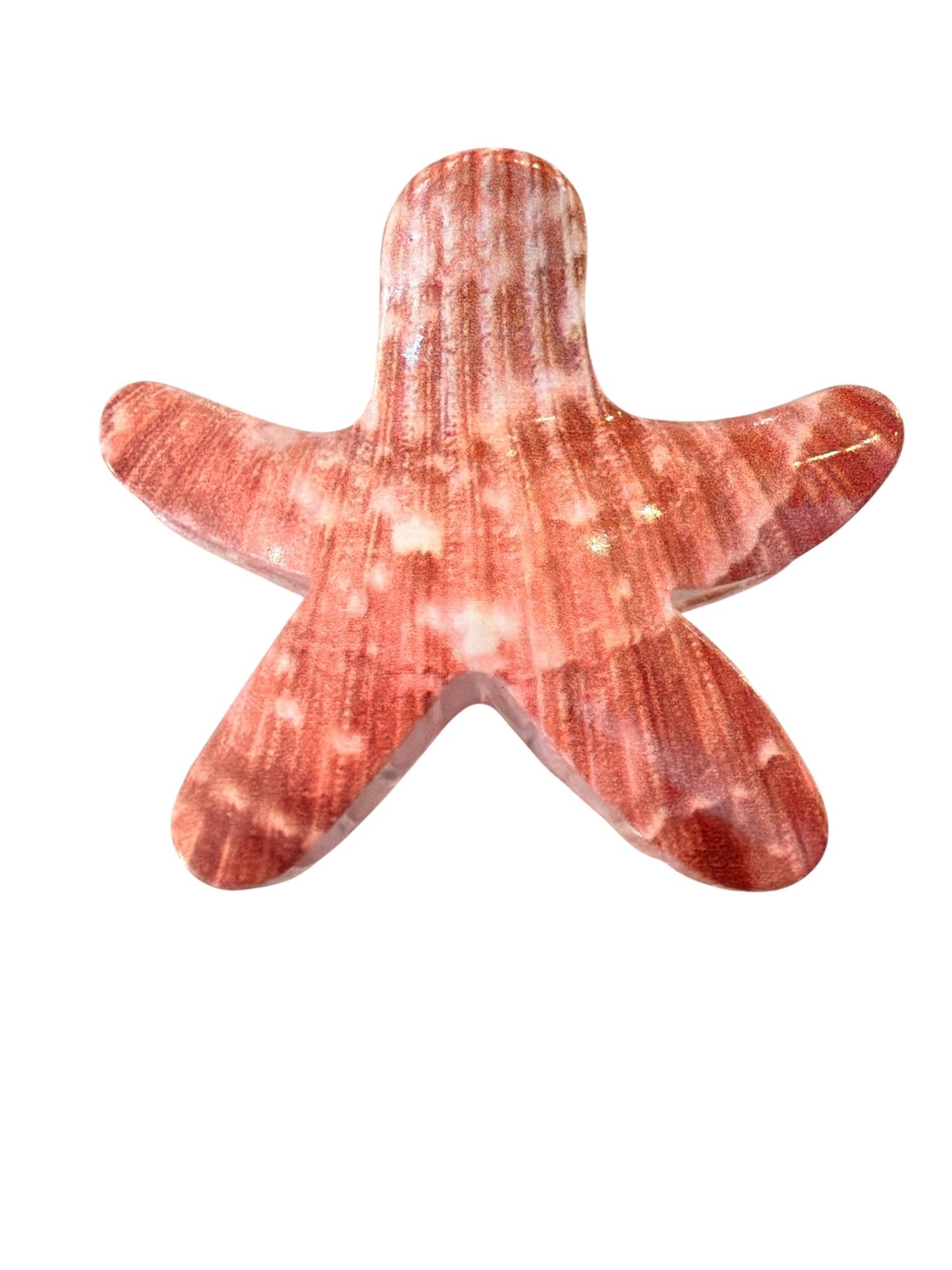 Multi Color Star Fish Hair Clip