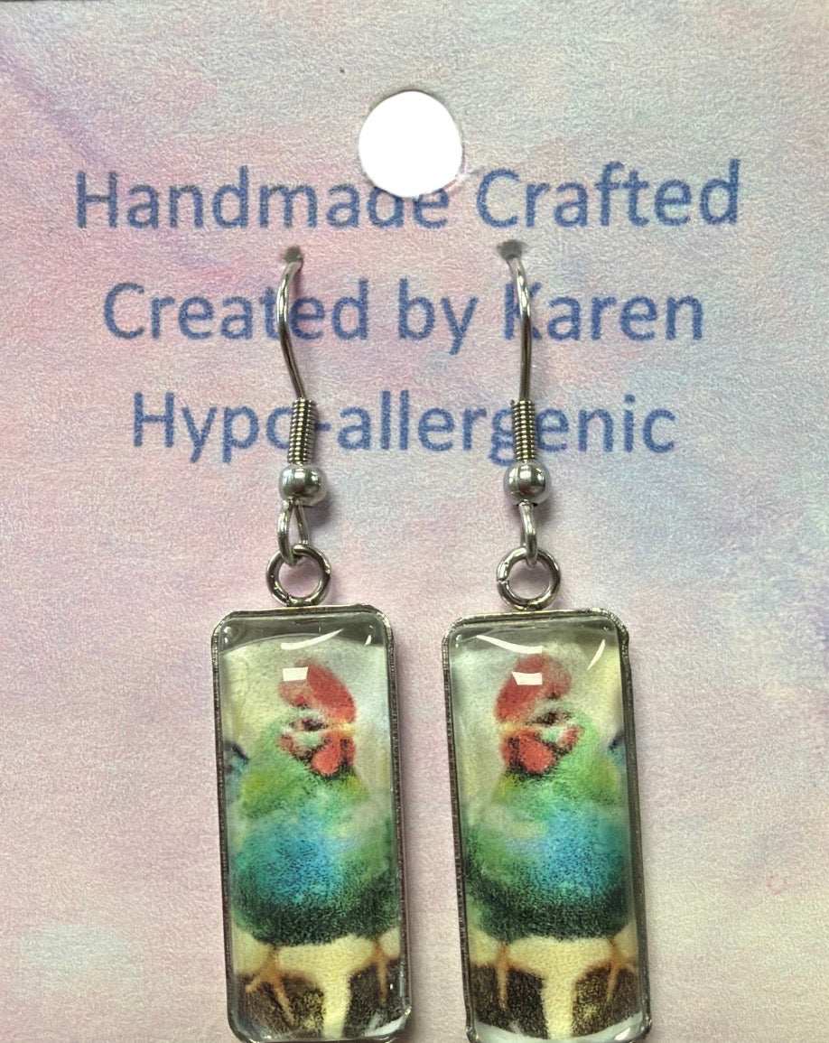 Hypo-allergenic Earrings