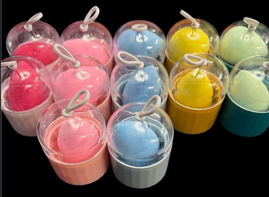 Beauty Blender with Case