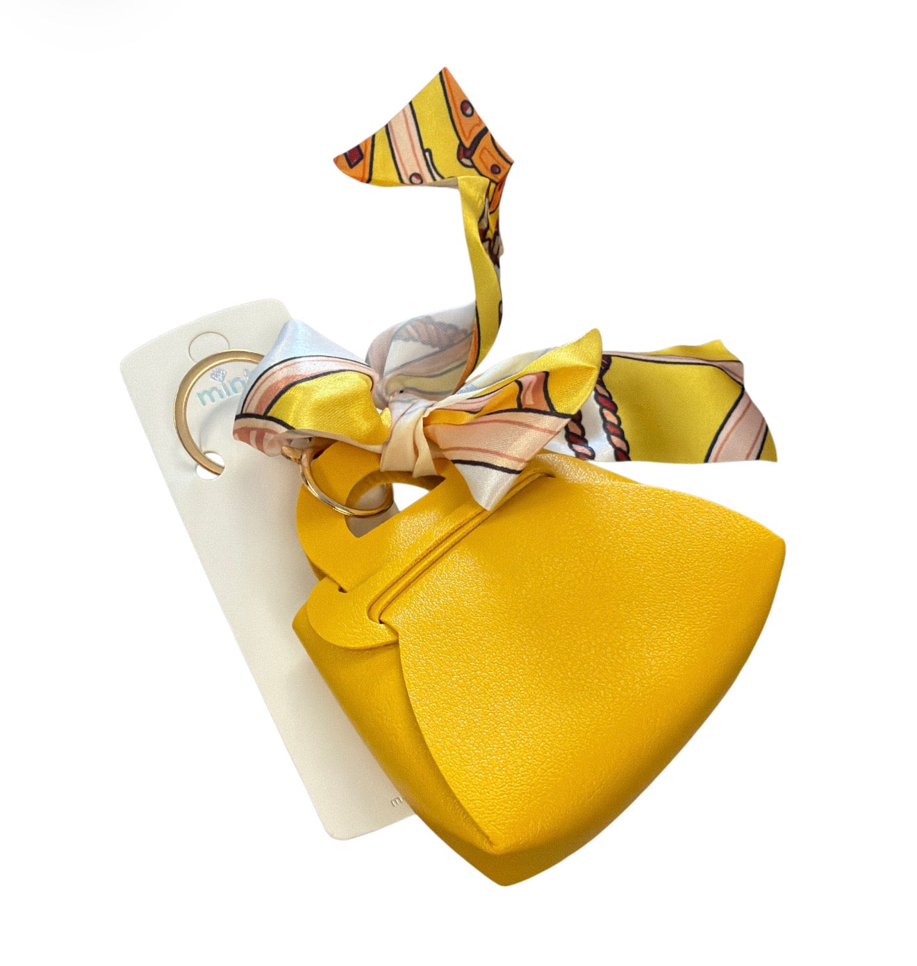 Mini Bag Purse & Scarf