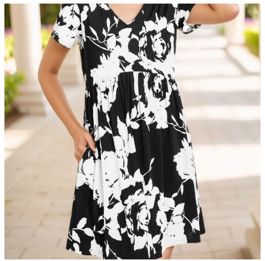 Heimish Black/White Dress