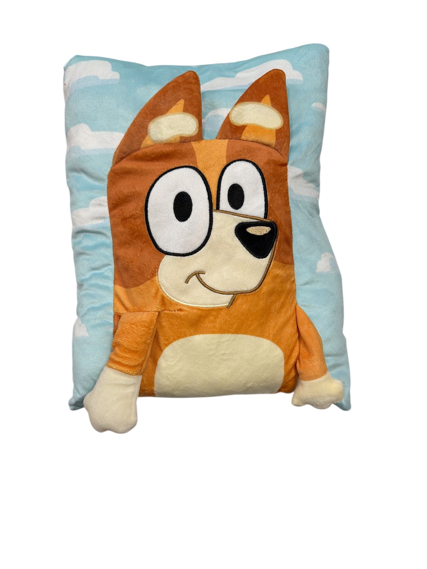 Bluey Pillow
